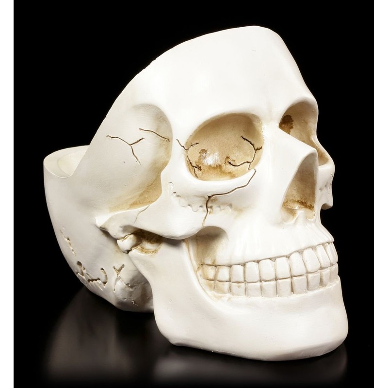 White Skull Bowl Decorative Fruit Bowl Skull