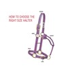 Weaver Leather Original Non-Adjustable Nylon Horse Halter, Large, Red