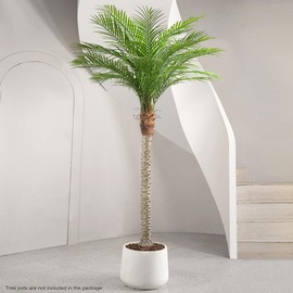 VITALISMO Artificial Phoenix Palm Tree, Simulation Plant, 7/8/9 Feet Tall with 18 Adjustable Leaves, Outdoor Indoor Decoration Fake Plants for Home Office Decoration Decorative Fruit Outdoor Tall Plants artificial greenery Ornaments potted  plant - Size: