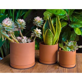 D'vine Dev Terracotta Pots for Plants, 4.2 Inch 5.3 Inch 6.5 Inch, Succulent Planter Pot with Drainage and Saucer, 40-T-A-0