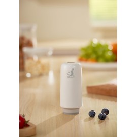 SEALIT Vacuum Seal Glass Food Container (Electric Pump)