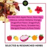 Dragon Fruit Pitaya Tea for Immune & Gut Health Support