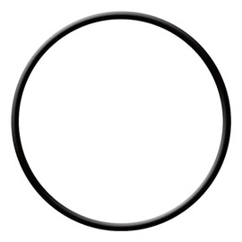 Generic Lid O-Ring for Hydro Pump Pool Pumps, O-12