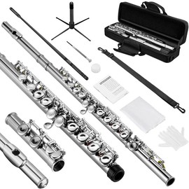 POGOLAB Flutes, Closed Hole C 16 Keys Flute Instrument, Student Flute for Beginner Advanced Player with Flute Cleaning Kit, Carry Bag, Stand, Strap, Probe Rod, Gloves - Color: Nickel Plated Closed Hole