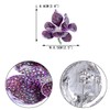 EVER FAITH Broches para Mujer Cristal Austriaco Orquídea Flora Petal
