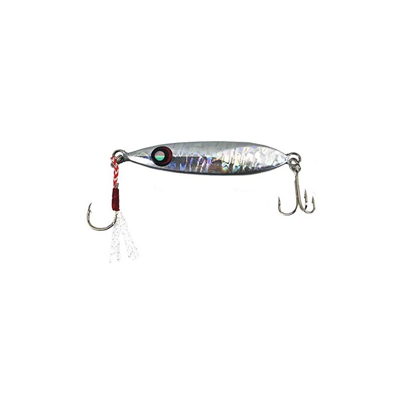 Glory Fish LU-001 Metal Jig, Sardine Jig, Throw, Silver ZG,