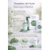 Kit 4 Pzs Skin1004 Madagascar Centella Tea-trica Grasa Acne