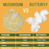 Princeton Popcorn Yellow Mushroom Popcorn Kernels - Easy-Eating, Extra Large