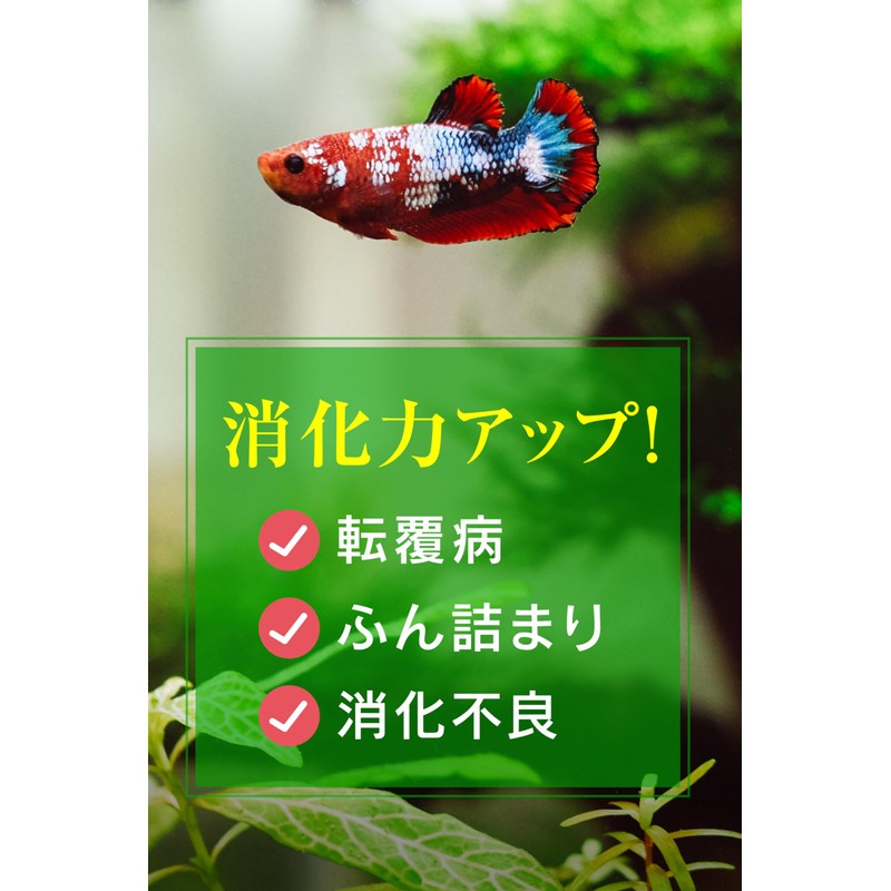O-O-O Chlorella for Aquarium Fish, 100 Tablets, 0.7 oz (20