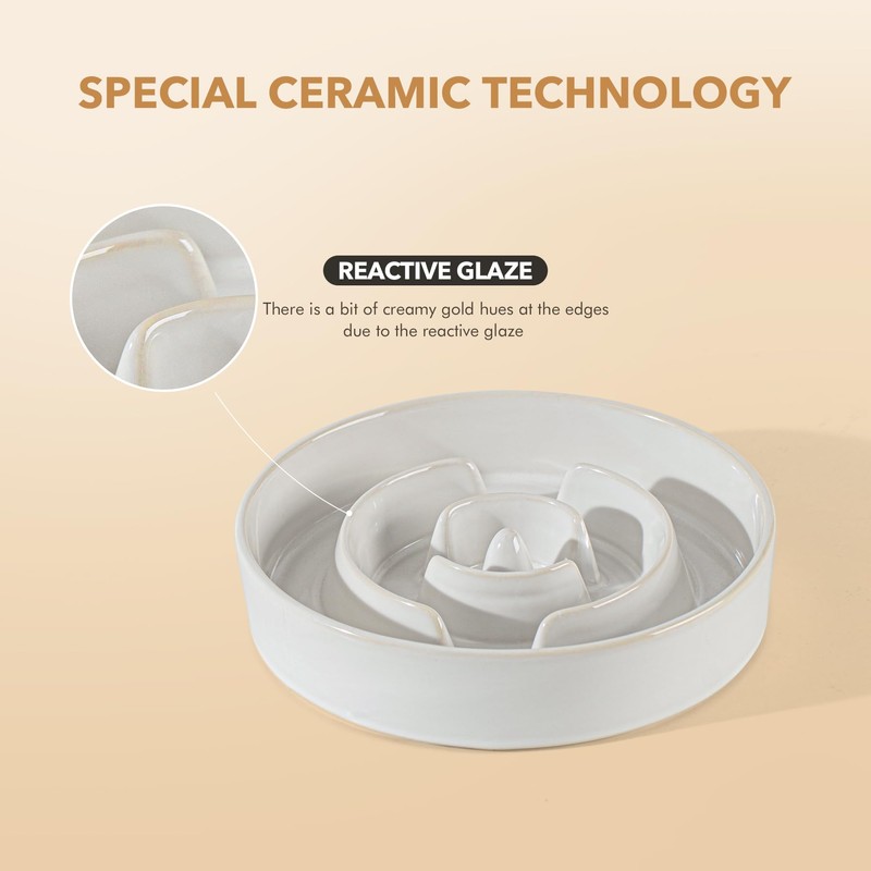 Havniva Ceramic 1.2 Cup Raised Slow Feeder Dog Bowl Set,