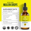 1ness 2pk Mullein Drops for Lungs Cleanse - Organic Mullein