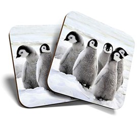 2 x MDF Glossy Top Coasters Square - Emperor Penguin Chicks Birds 13280