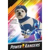 Blue Power Ranger, Pet Costume, Medium