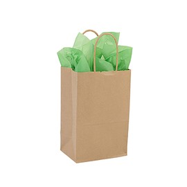 SSWBasics Kraft Paper Bags With Handles - Case of 100