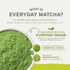 Everyday Organic Matcha Green Tea Powder - Rich Antioxidant &