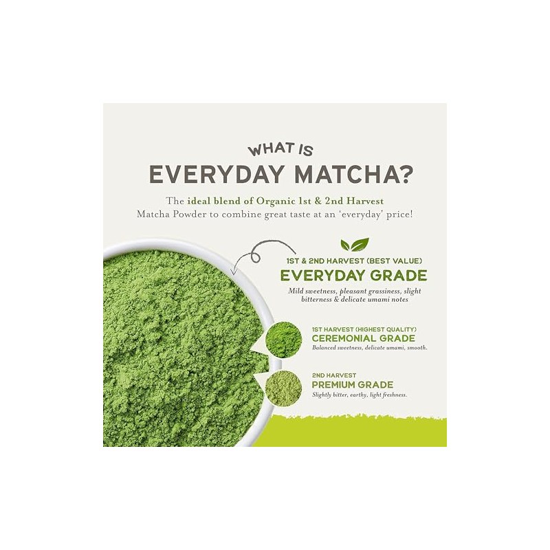 Everyday Organic Matcha Green Tea Powder - Rich Antioxidant &