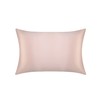 Jasmine Silk 100% 19 Momme Mulberry Charmeuse Silk Pillowcase for