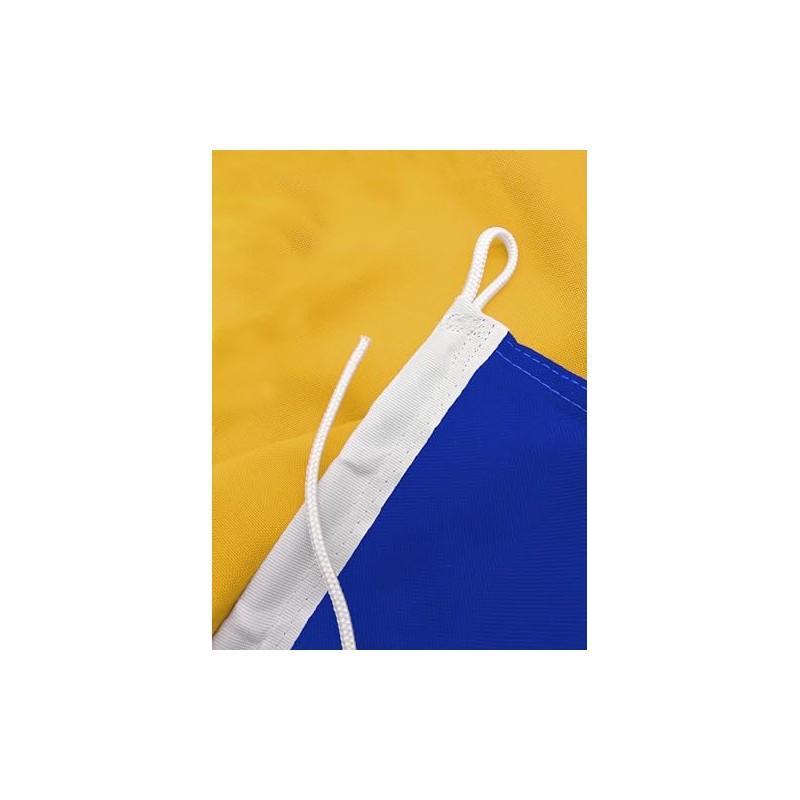 FLAGLY Premium Boat Flag Carinthia 20 x 30 cm -