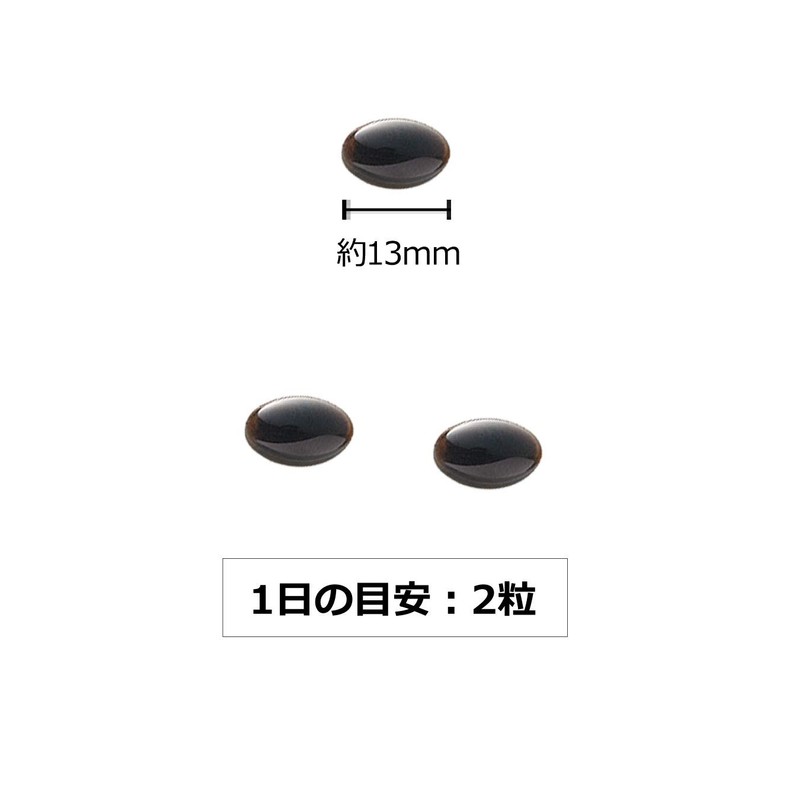 発酵黒高麗人参＋発酵黒にんにく［韓国高麗人参・青森産にんにく］たっぷり100mg配合［国内製造］しっかり30日分