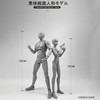 Drawing Doll 30 Pieces Articulated with Stand Muscles Figure Gesture