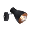 Paulmann Spotlight Davy max 1x20W E27 Black 230V