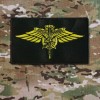 USAF Special Warfare Patch - Hook & Loop Back -