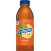Snapple Variety Tea, 20-Ounce Bottles (Pack of 24)