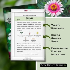 Sow Right Seeds - Zinnia Ice Queen Flower Seeds for Planting - Beautiful Flowers to Plant in Your Garden - Non-GMO Heirloom Seeds - Pink with White Tips Variety - Attract Pollinators - Cut Flower (1)