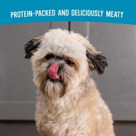 Open Farm Air Dried, Grain & Legume Free Dog Food Infused with Bone Broth, Surf & Turf Recipe, 1lb Bag