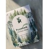 J&C JNC Cypress Water Mask Pack-Renewal / JNC 편백수 마스크팩-리뉴얼