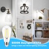 ASOMST Vintage LED Edison Bulbs Dimmable, ST58 Filament Light Bulb