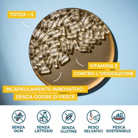 Omega 3 Fish Oil 2000mg | Omega-3 Rich in Fatty Acids | Food Supplements Fish Oil High Concentration in DHA EPA, Vitamin E | 120 Licaps Odorless Capsules | Sustainable Fishing | Nutri&Co