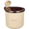 Ishigaki Sangyo Salt Pot, 10.1 fl oz (300 ml), Spoon