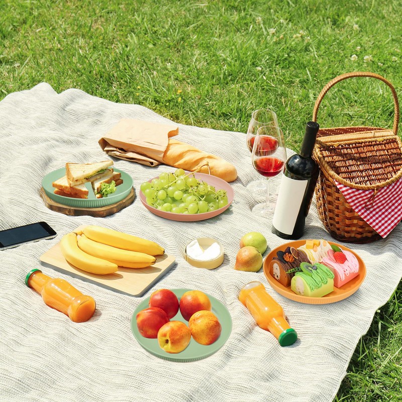 Worephu Unbreakable Dinner Plates, 6 Colors Reusable Lightweight Plates, Pizza/Pasta/Snack/Salad
