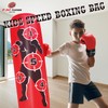 Punching Bag with Boxing Gloves for Boys Girls Ages 3
