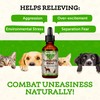 Animal Essentials Tranquility Blend for Dogs & Cats - Calming