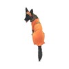 Midlee Orange Prisoner Costume (Large)