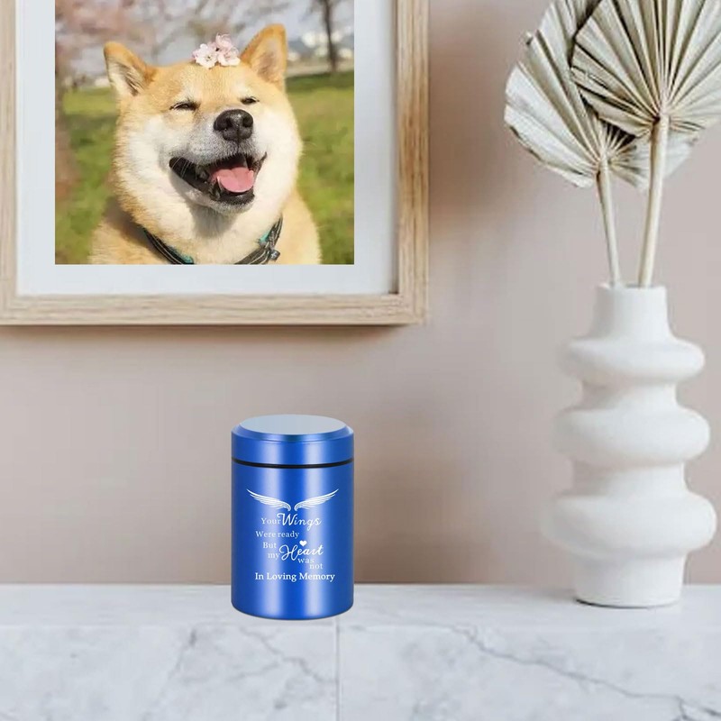 Small Keepsake Cremation Urns for Human Ashes Adult Male Female,