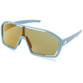 ALPINA Sport Bonfire Q-lite Sunglasses, Smoke-blue matt, Unit size