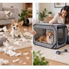 Portable Dog Travel Crate for Small Pets – Foldable Pop-Up