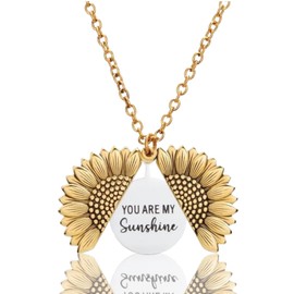 You Are My Sunshine Engraved Necklace For Women/Sister/Wife/Girlfriend, Gift For Birthday, Valentine's Day, Anniversary, Christmas, Mother's Day, Jewelry For Her, Gift For Her, Pendant For Her