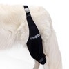 Ortocanis - Knee Brace for Dogs with Ligament Rupture and