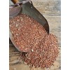 Milo, Red Sorghum 25 lb