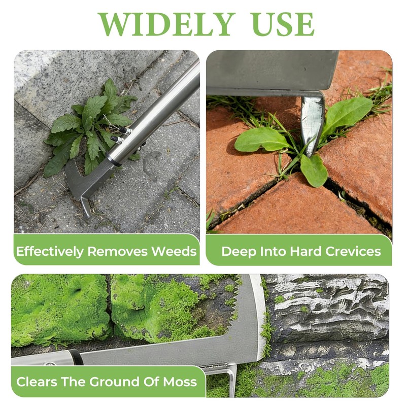 BEFISAAC Crack Weeder, Durable Weed Puller Tool with Long Handle,