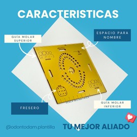 Plantilla para dique de hule-Aislado Absoluto 5 en 1