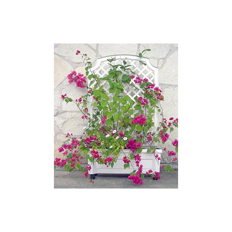 Exaco 1.416Green Calypso Trellis, Green planters