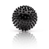 Premium Massage Ball Set Fascia Ball/Duo Ball/Hedgehog Ball/Fascia Roller for