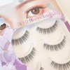 CLEAREYELASH False Eyelashes Natural 3D Matsuke Formula 3 Pairs (S02