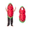 Food Fruit Watermelon Costume