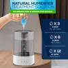 The Original Humidifier Drops - Premium Food Grade Concentrate, Slows